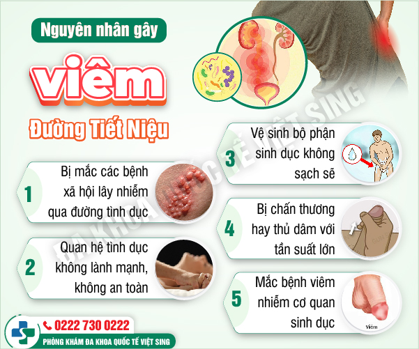 https://benhtrivietsing.com/wp-content/uploads/2023/06/1-viem-duong-tiet-nieu.jpg