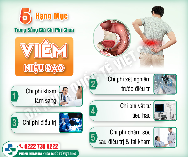 https://benhtrivietsing.com/wp-content/uploads/2023/06/6-viem-nieu-dao.jpg