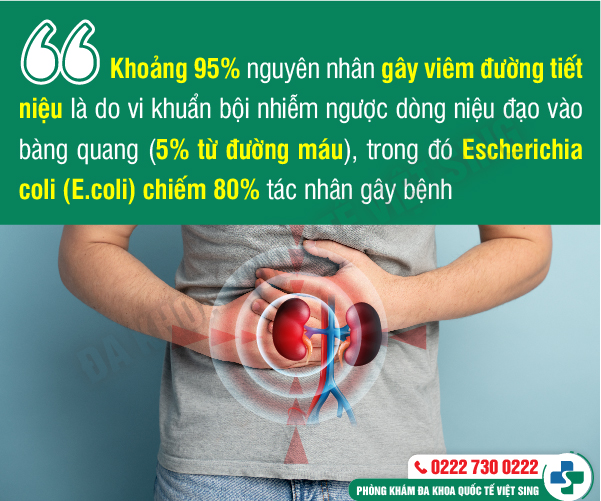 https://benhtrivietsing.com/wp-content/uploads/2023/06/7-nguyen-nhan-viem-duong-tiet-nieu.jpg