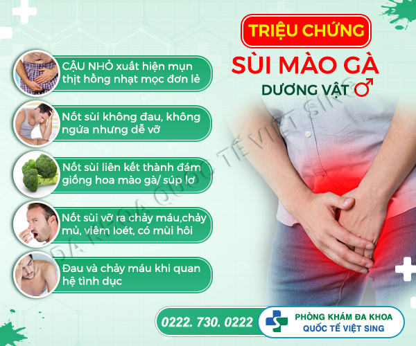 https://benhtrivietsing.com/wp-content/uploads/2023/06/smgduongvat.png