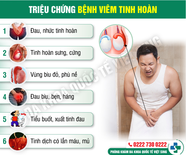 https://benhtrivietsing.com/wp-content/uploads/2023/06/trieu-chung-viem-tinh-hoàn.jpg