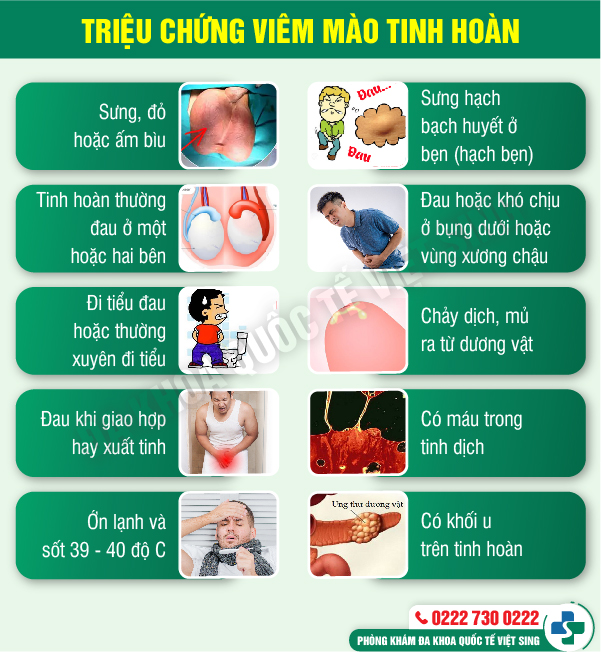 https://benhtrivietsing.com/wp-content/uploads/2023/06/viem-mao-tinh-hoan.jpg